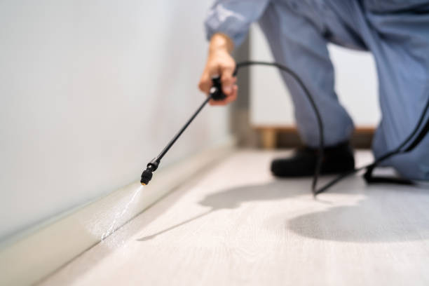 Rodent Entry Point Assessment in Thousand Palms