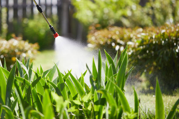 Tamper-Resistant Bait Stations for Rodents in Thousand Palms