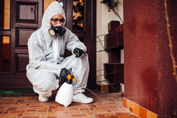 Attic and Crawl Space Rodent Treatment in Thousand Palms